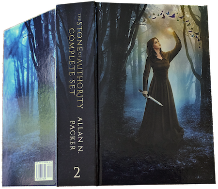 Book Cover 2b small